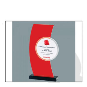 Acrylic Memento