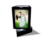 LED Rotator ( 8 inch)